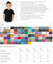 Load image into Gallery viewer, Patriots Shirt, Custom school mascot tee, School spirit tee, Embroidered shirt, Mascot, School Spirit shirt, Game Day,