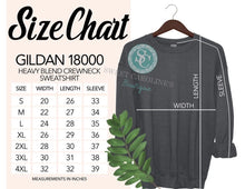 Load image into Gallery viewer, Custom State embroidered sweatshirt| State abbreviation| KY sweatshirt | velour | State Shirt | Adult Toddler Youth Kids|Kentucky sweatshirt