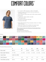 Load image into Gallery viewer, USA Shirt| Gingham Fourth of July T shirt | Patriotic shirt| Comfort Colors